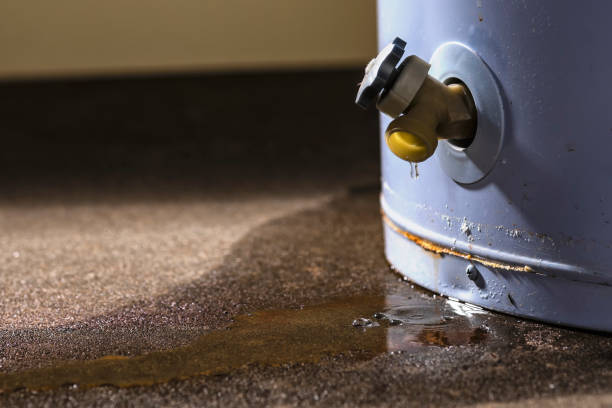 Best Local water damage restoration  in International Falls, MN