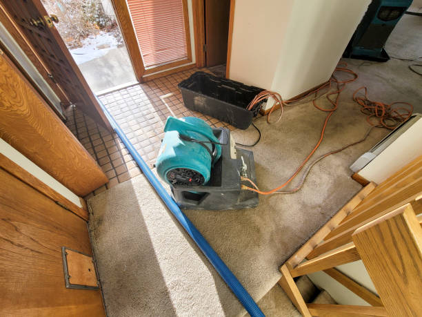 Sewage cleanup and water damage restoration in International Falls, MN