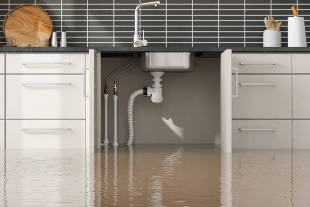 Best Local water damage restoration  in International Falls, MN